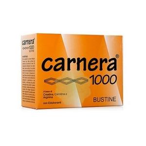 CARNERA 1000 18 BUSTINE