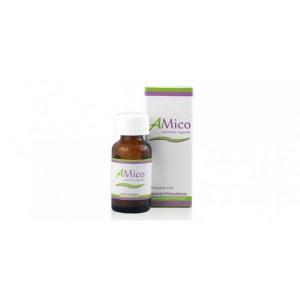 AMICO SOLUZIONE UNGUEALE 5ML