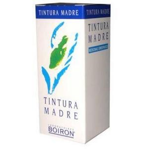 BETULA ALBA 60ML TINTURA MADRE