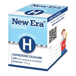 NEW ERA H 240 GR