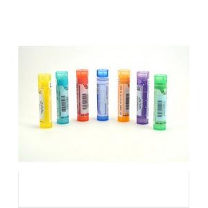 PHOSPHORUS FLAVUS 6CH GR