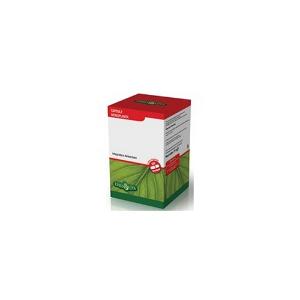 PSILLIO FLACONE 60 CAPSULE