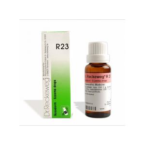 RECKEWEG R23 GOCCE 22ML
