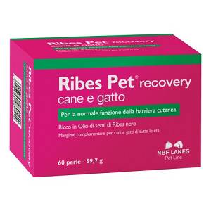 RIBES PET RECOVERY 60PERLE