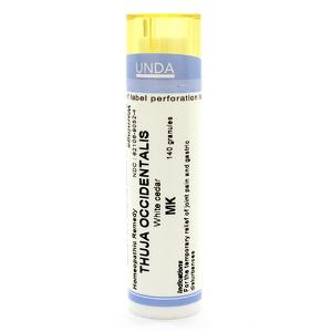 THUYA OCCIDENT MK GL