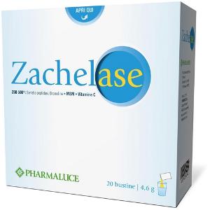 ZACHELASE 20BUST