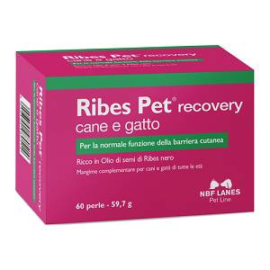 RIBES PET RECOVERY 60PERLE